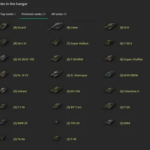 [EU] 5 TIER X | 23 PREMIUM TANK | TOTAL TANKS 65 | 10.167 (46) WINS | 2.070.481 CREDITS | GOLD 3765 | - Image 1
