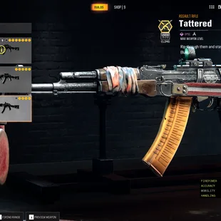 Purchased BO6 | Good Weapons | Wild Mannered Assault Rifle - Image 5