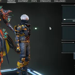 MR 28 - 1800 Plat 491/750 Complated - 67x Warframe MAX | 119x Primary Gun - 100x Secondary Gun - Image 1