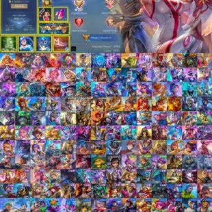 Mega Collector | 107 Rank | Rafaela Biomedic | 3 Legend Skins | 465 Skins | All Heroes | Max Emblem | Android-iOS