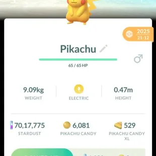 OKINAWA | SAGA | FUKUOKA PIKACHU BG 💎 206 SHINY 💎 107 LEGENDARY [] 5 SHINY LEG [] 12 LBG [] 7M DUST [] AVAILABLE - Image 9