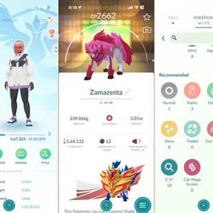 🔥LEVEL 50 💎 SHINY LEGENDARY ZAMZENTA [] 51 LEGENDARY [] 8 SHINY [] RENAME AVAILABLE []  CHEAPEST - Image 1