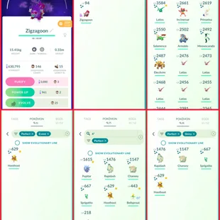 🍓FRESH STOCK LEVEL 51 PG ACCT 🔄| 287 SHINY  | 53 LEGENDARY |400 TRADEABLE PG AVAILABLE / 7 HUNDO IV) READY TO TRADE - Image 2