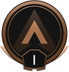 bronze