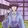 Saujiro