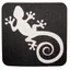 lizzard